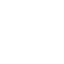 Ring Icon